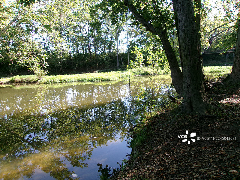 阳光明媚的日子里，宁静的森林湖泊倒映着郁郁葱葱的绿树，美国，伊顿图片素材