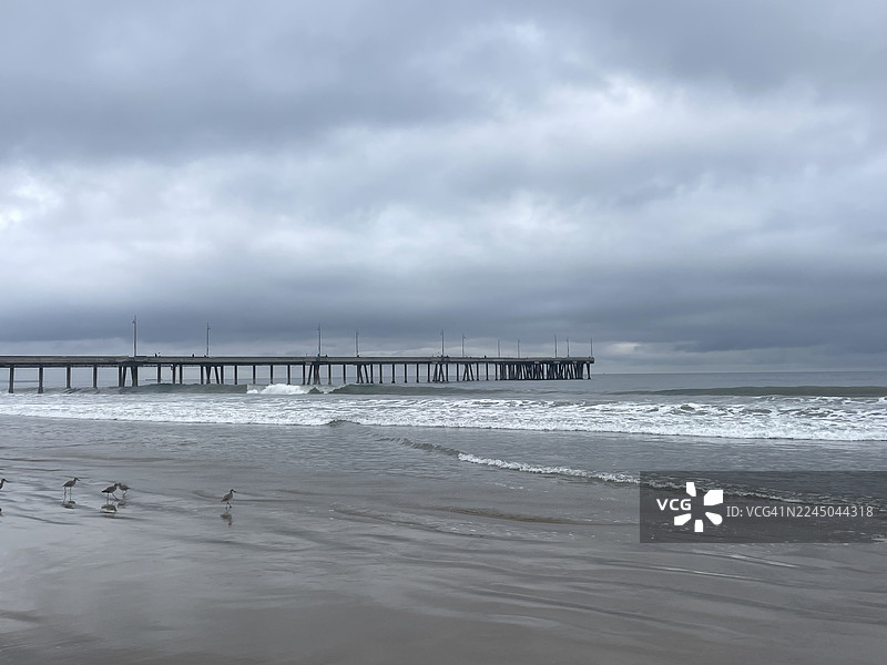 在戏剧性的多云天空下，一座码头延伸入海，海鸟在湿沙上觅食，海浪滚滚而来，地点是美国洛杉矶的威尼斯海滩。图片素材
