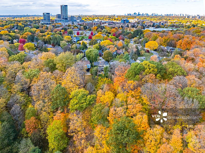 加拿大东约克东唐河步道秋景航拍图片素材