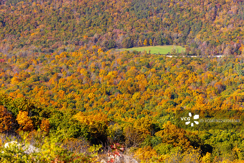 秋季的森林树冠，蓝岭公路，弗吉尼亚州，美国图片素材