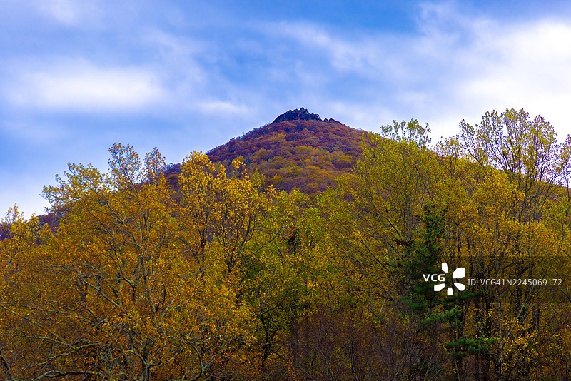 秋日前景山，蓝岭公路，北卡罗来纳州，美国图片素材