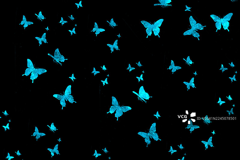 蓝色蝴蝶图案画作，绘制于黑色画布上图片素材
