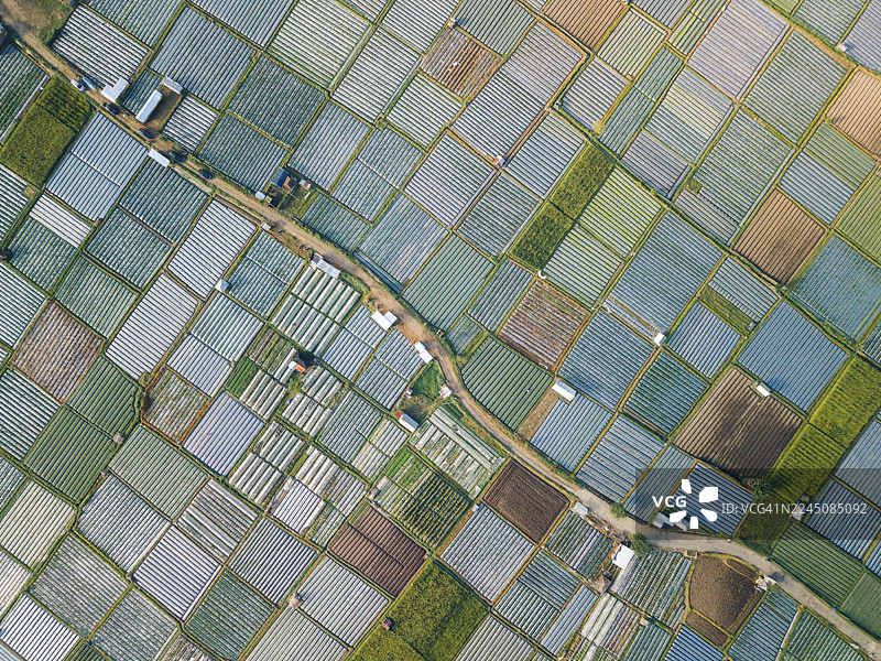 俯瞰形状各异、色彩斑斓的几何农田。印度尼西亚龙目岛，林萨姆巴隆图片素材