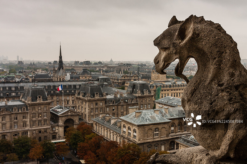 巴黎圣母院顶部的石像鬼图片素材