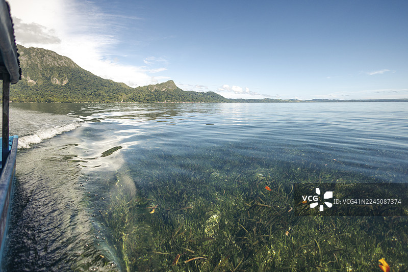 风景照：清澈的水中生长着水生植物，远处是山峦和蓝天。印度尼西亚马鲁古省塞尔姆岛萨勒曼村。图片素材