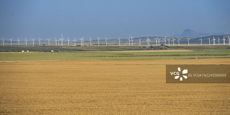 广阔的风景中矗立着风力涡轮机，远处是田野和晴朗的天空。位于加拿大艾伯塔省沃特顿湖国家公园。图片素材