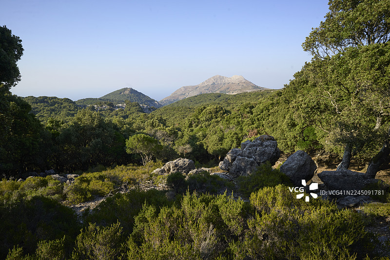 希腊伊卡里亚岛兰提森林，蓝天下的崎岖地貌与远山，郁郁葱葱的绿色景观。图片素材