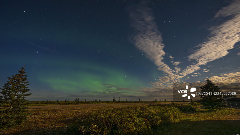 北方灯光在星空下闪耀，前景是树木和开阔的景观。哈德逊湾，丘吉尔，马尼托巴，加拿大图片素材