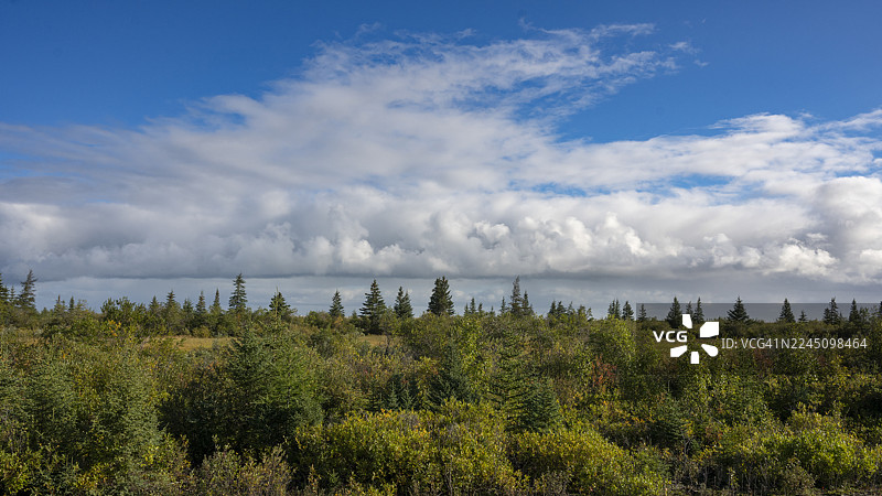 碧空如洗，云彩点缀，一派生机勃勃的绿色景象。哈德逊湾，丘吉尔，马尼托巴，加拿大图片素材