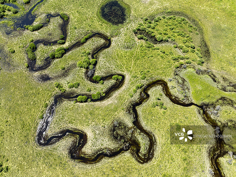 从空中俯瞰，蜿蜒的河流穿过生机勃勃的绿色沼泽地，点缀着零星的灌木。位于加拿大卡尔加里西部。图片素材