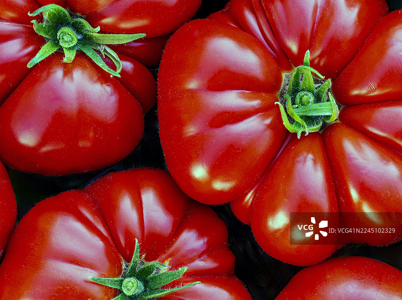 鲜红的传家宝番茄，带着绿色的茎，紧密地挤在一起图片素材