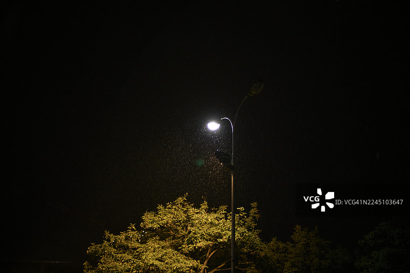 夜晚，路灯照亮了黑暗天空下的树木。比利时西弗兰德斯布兰肯贝赫。图片素材