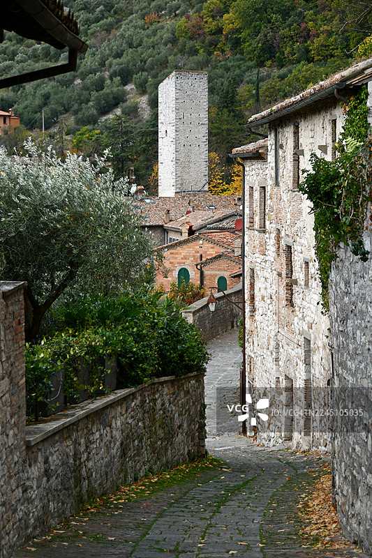 古比奥 - 攀登向大教堂 - 秋季图片素材