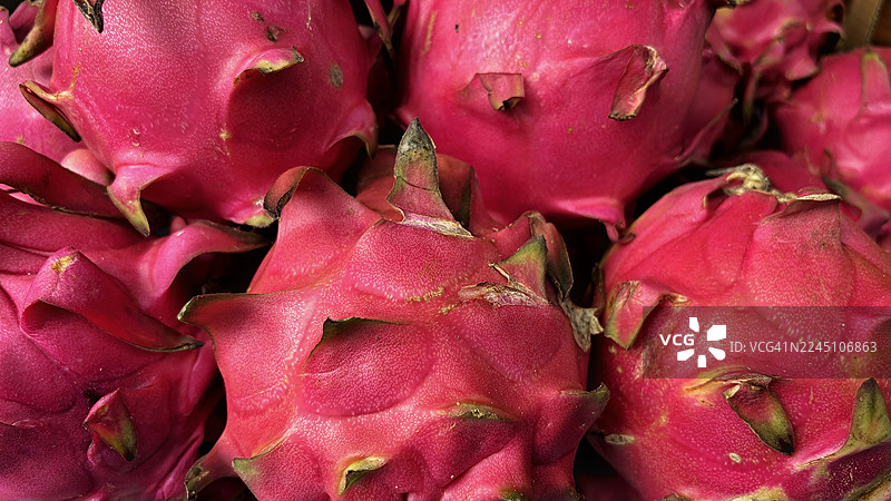 红肉火龙果图片素材