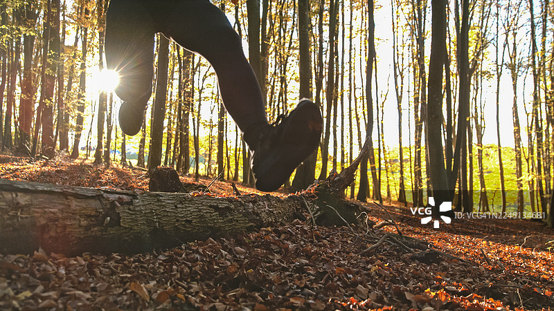 阳光明媚的秋季森林，充满活力的女性跳过倒下的树木图片素材