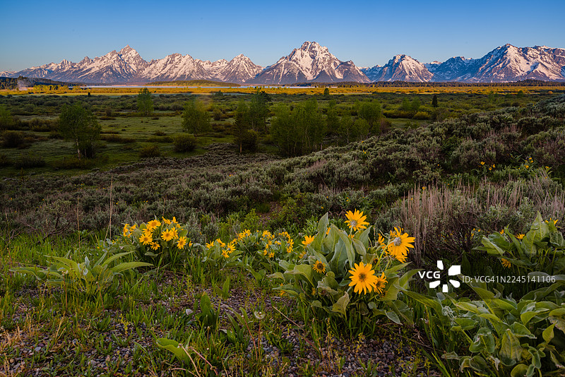 大提顿国家公园的美丽风景图片素材