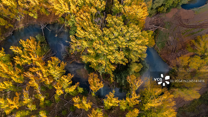 秋色林地旁的河流蜿蜒，俯视视角，风景格式。图片素材