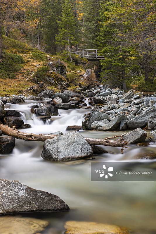 秋季,混交林中,一座木桥横跨山间溪流,位于瑞士格劳宾登州伯尔尼纳山口的庞特雷西纳地区。图片素材