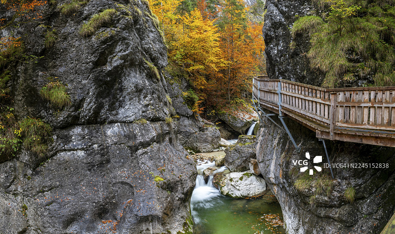 秋季，奥地利施蒂利亚州加姆斯、帕尔法乌、希夫劳的诺特克拉姆木栈道图片素材