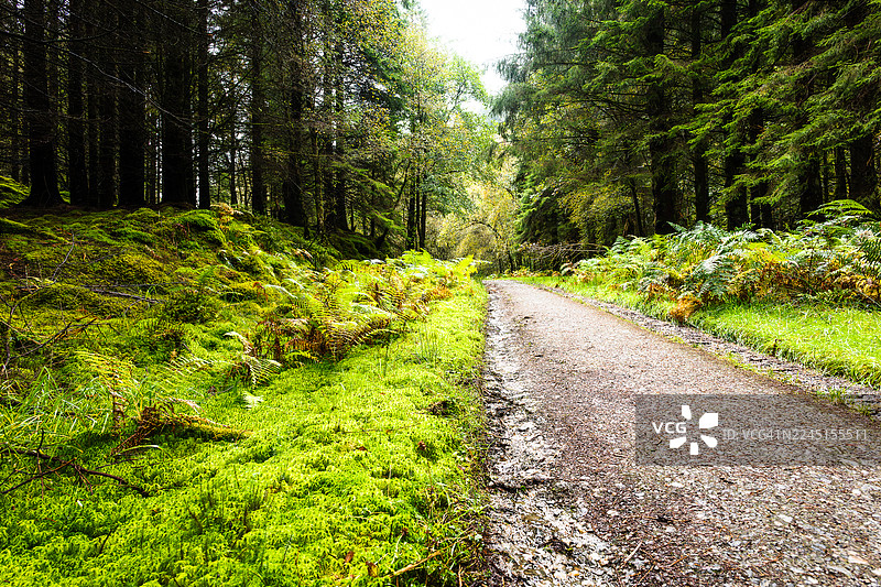沿着苏格兰西部高地之路徒步图片素材