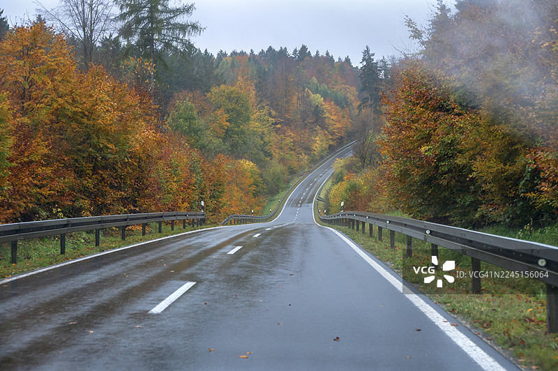 德国巴伐利亚州上弗兰肯地区弗兰科尼亚地区B2纽伦堡-拜罗伊特公路旁的秋色混交林图片素材