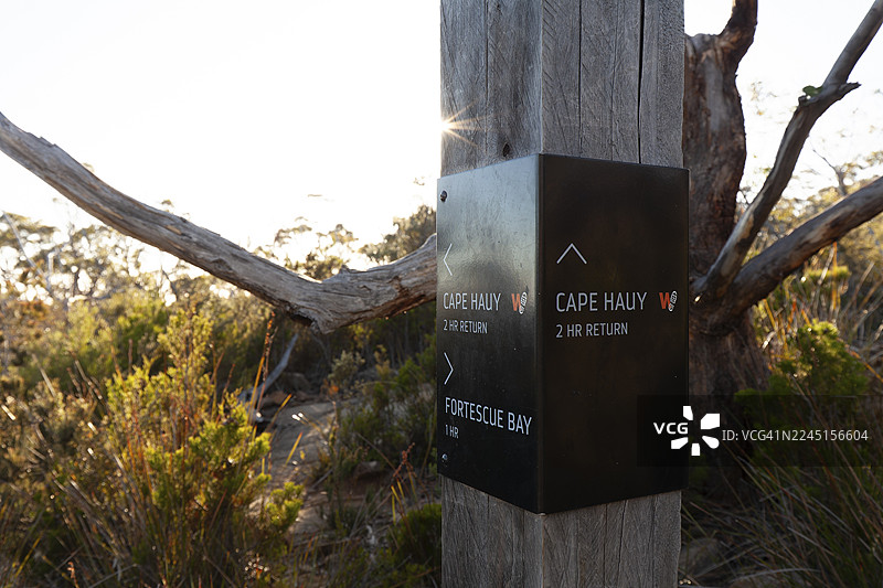 通往塔斯马尼亚州罗尔角悬崖小径的指南。豪伊角，塔斯曼半岛，塔斯马尼亚州，澳大利亚。图片素材