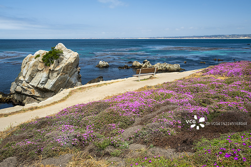 太平洋岩石湾图片素材