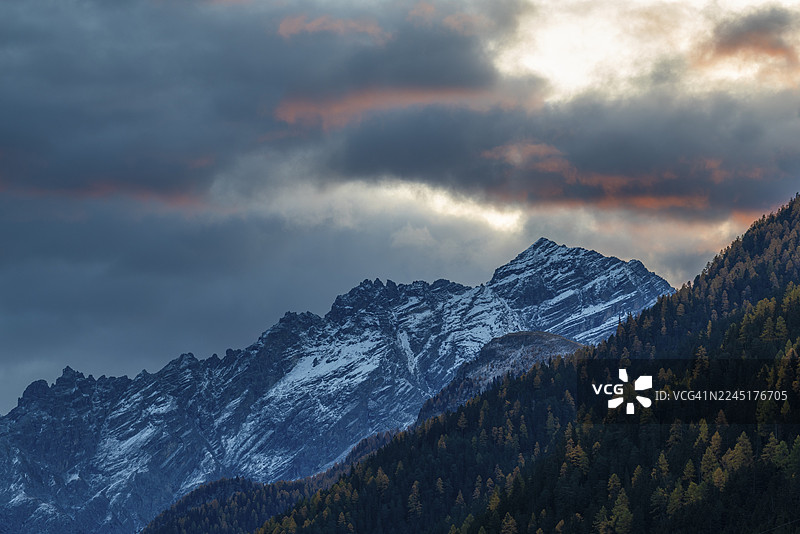 秋季的针阔叶混交林(落叶松),山峰积雪,秋天,黎明,皮兹皮索克峰,拉文,恩加丁,格劳宾登,瑞士图片素材
