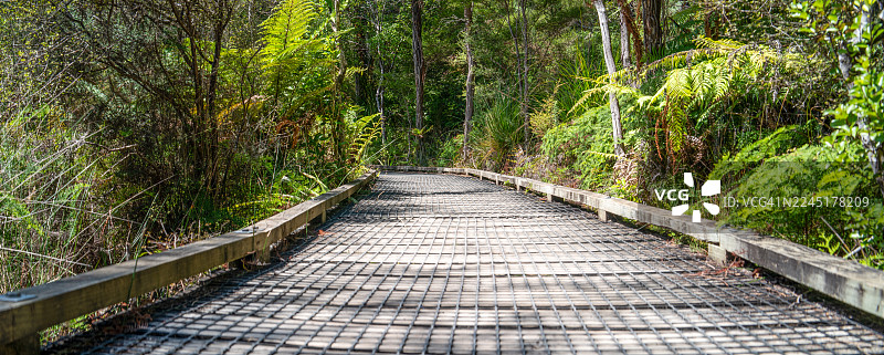 蒂瓦依科罗普普泉的木板路图片素材