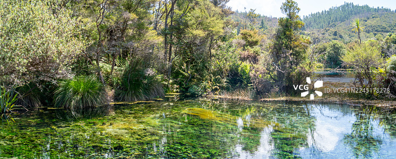 蒂瓦伊科罗普普泉的河岸图片素材