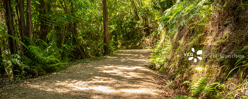 穿过植被的步道，位于特瓦科罗普普温泉图片素材