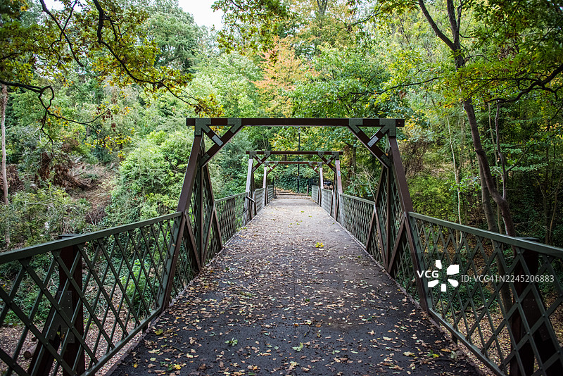 西德纳姆山林木考克斯步道上的华丽桥梁图片素材
