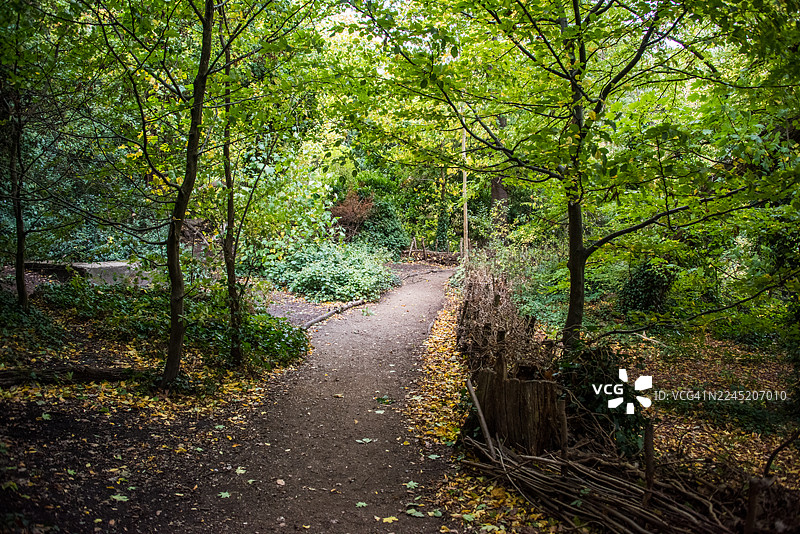 有质朴栅栏的道路，塞登汉姆希尔树林图片素材