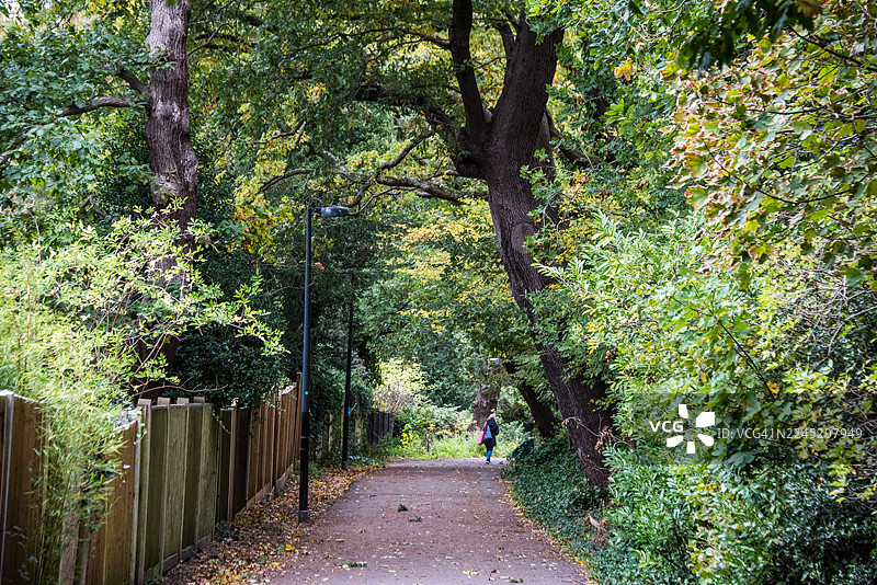 木栅栏旁的行人道图片素材
