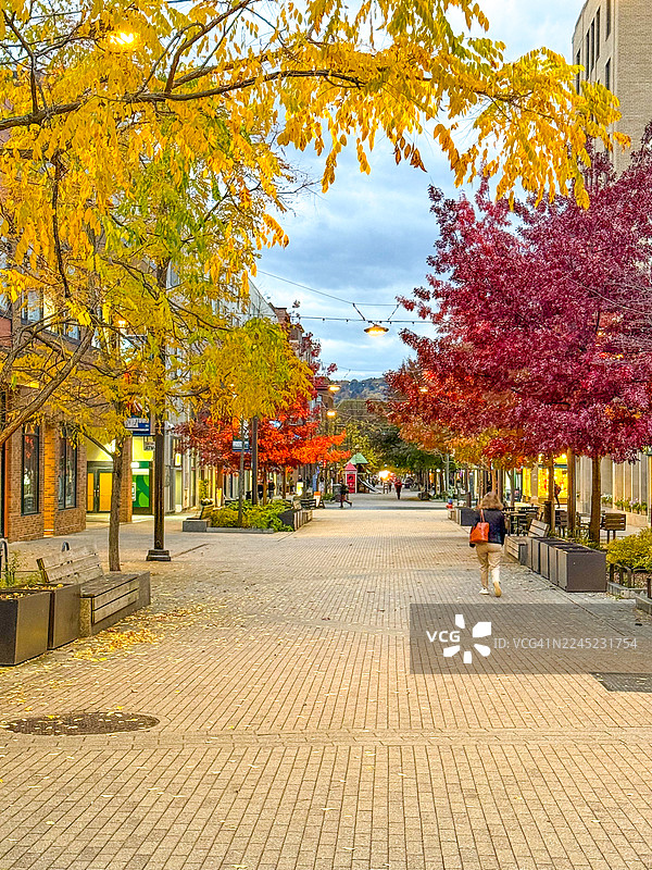 伊萨卡市中心步行街上，人们在秋季漫步图片素材