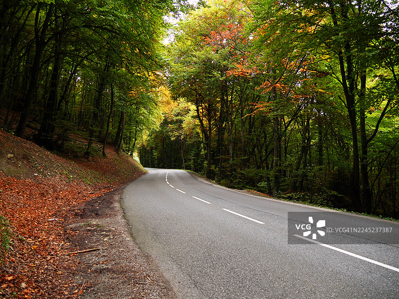 法国上萨瓦省埃维昂莱班森林中空旷的道路。阳光。自然色彩。图片素材