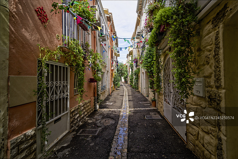 梅泽的花街图片素材