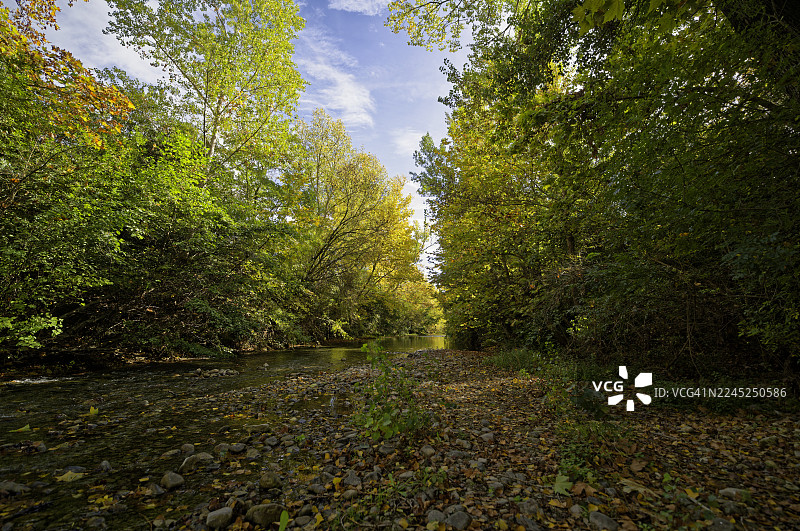 秋天，在小河塞斯河的河畔图片素材