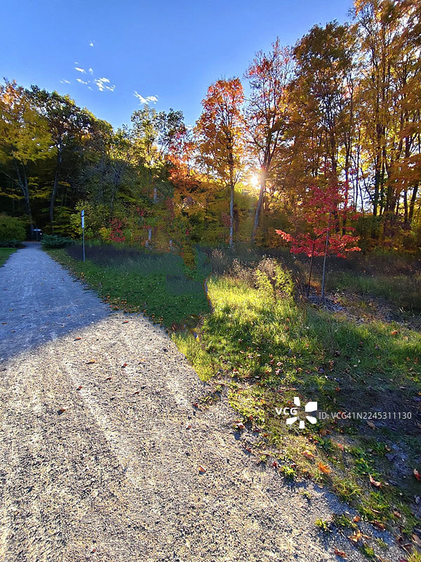 秋季落日/傍晚时分，加拿大安大略省米德兰市汤姆·麦卡洛公园的迷人景色图片素材