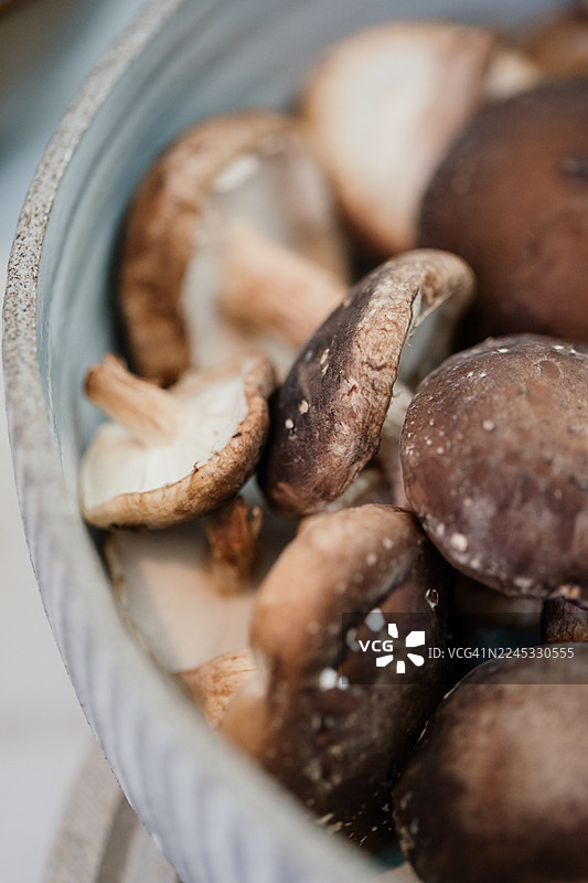 特写镜头下的蘑菇图片素材