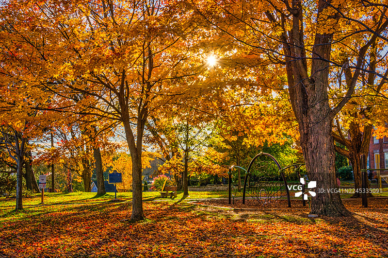秋季时光图片素材
