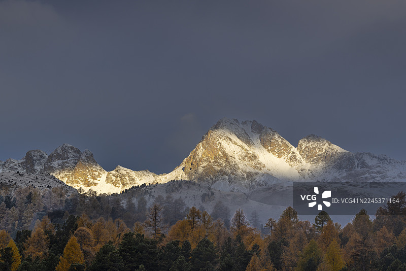 秋季落叶松（落叶松属）混交林，皮兹穆拉格尔，山峰，塞勒里纳/施拉里尼亚，恩加丁，格劳宾登，瑞士图片素材