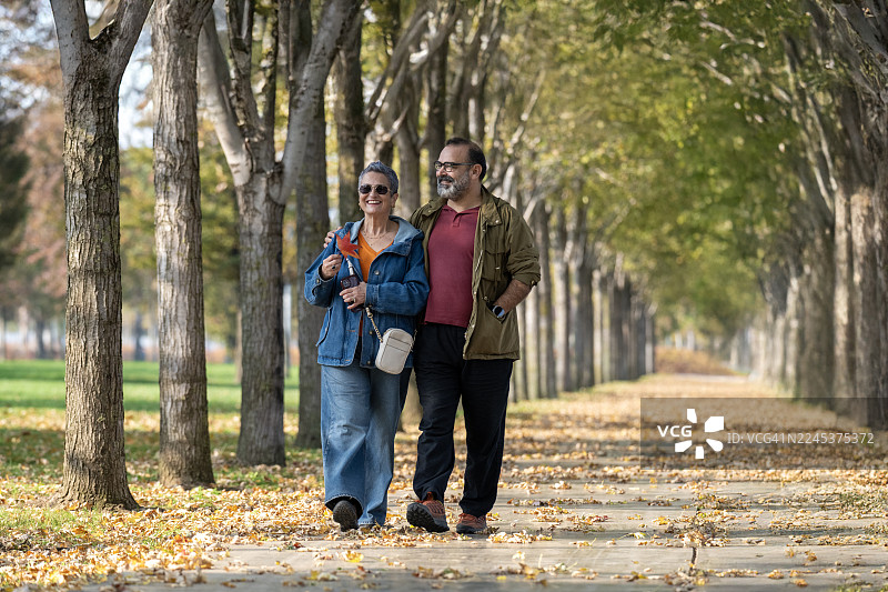 伊斯坦布尔一个阳光明媚的秋日午后，一对情侣挽着胳膊在公园小径上散步图片素材