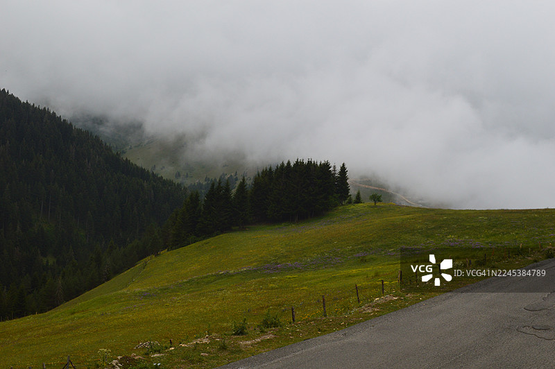 一条风景优美的道路蜿蜒穿过雾气弥漫的山林，前景是绿意盎然的田野。图片素材