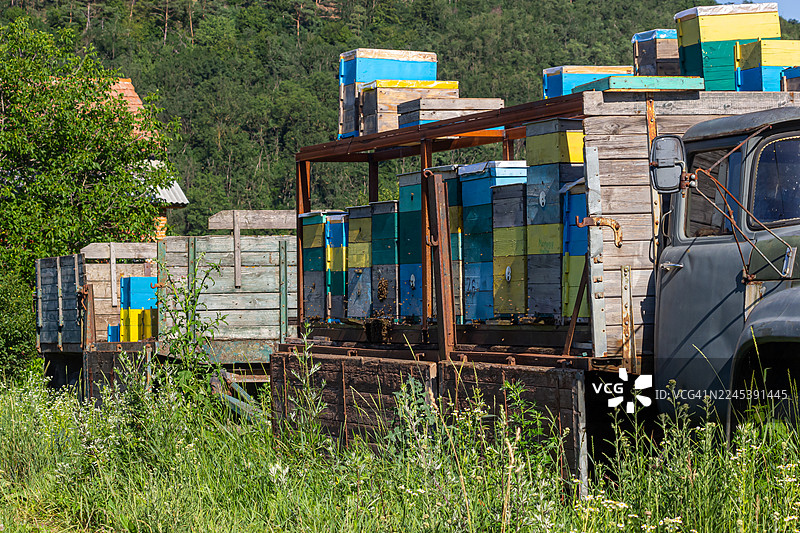 一辆老旧卡车在绿意盎然的乡村景观中运输色彩鲜艳的蜂箱图片素材