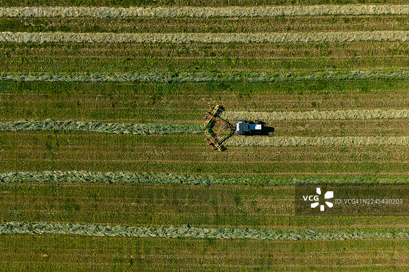 拖拉机正在将新鲜割下的干草耙成条，准备打捆图片素材