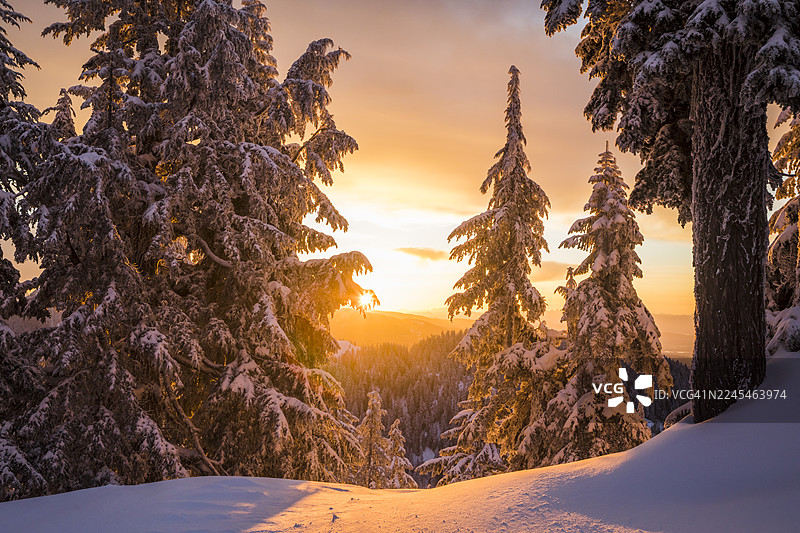 日落时分，森林和山峦上覆盖着新鲜的积雪图片素材