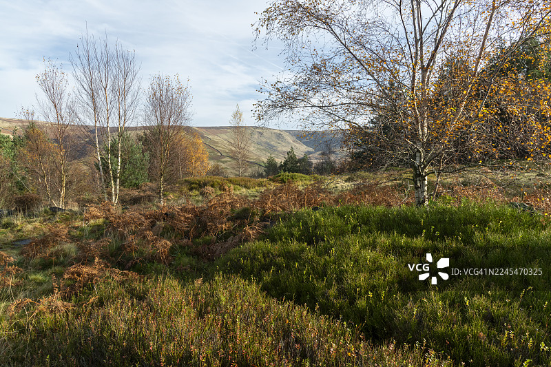 英格兰北部德比郡丘陵地区美丽的秋日风光图片素材