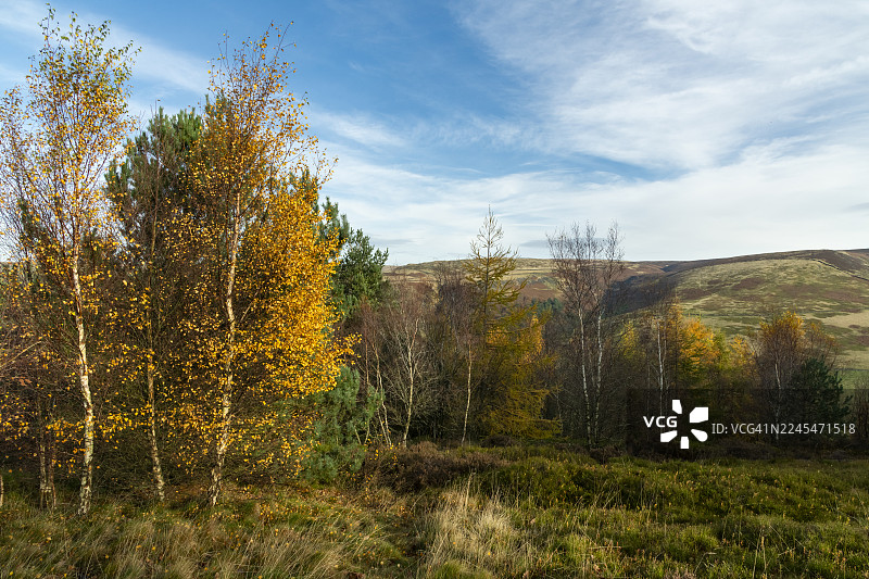 英格兰北部德比郡丘陵地区美丽的秋季风景图片素材