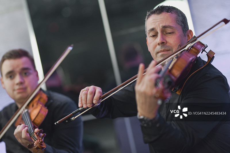 小提琴家在现场音乐表演中演奏，表情专注，弓法流畅图片素材